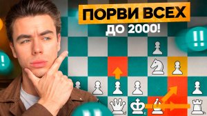 Дебют БЕРДА УНИЧТОЖАЕТ ВСЕХ до 2000!