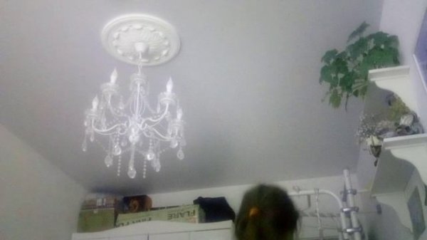 VID_20260220_154054.mp4