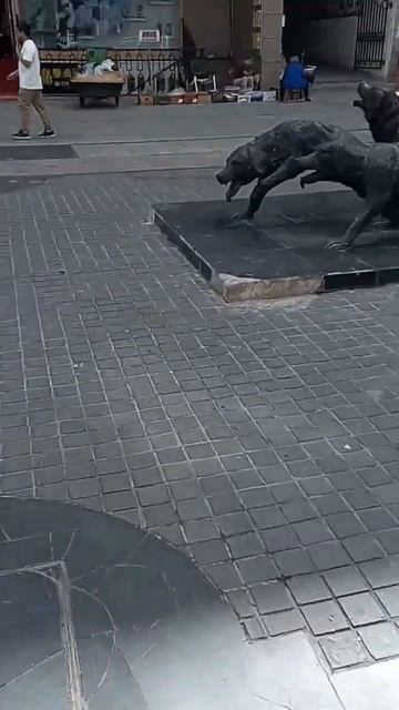 китай смотреть онлайн