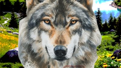 какая красота природа