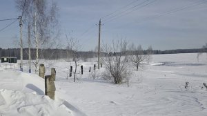 З/у с к.н. 50:28:0080203:687, расположенный по адресу: МО, г.о. Домодедово, д. Михеево