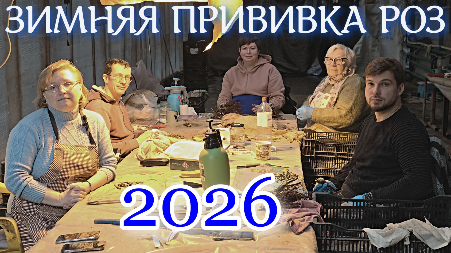 ЗИМНЯЯ ПРИВИВКА РОЗ 2026 ГОД. смотреть онлайн