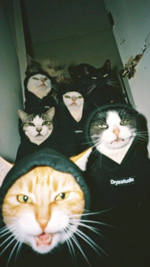 стрим по краб игре.