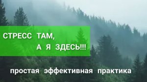 СТРЕСС ТАМ, А Я ЗДЕСЬ / простая эффективная практика