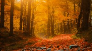 Два типа слабости - Эссе Алексея Дунаева.