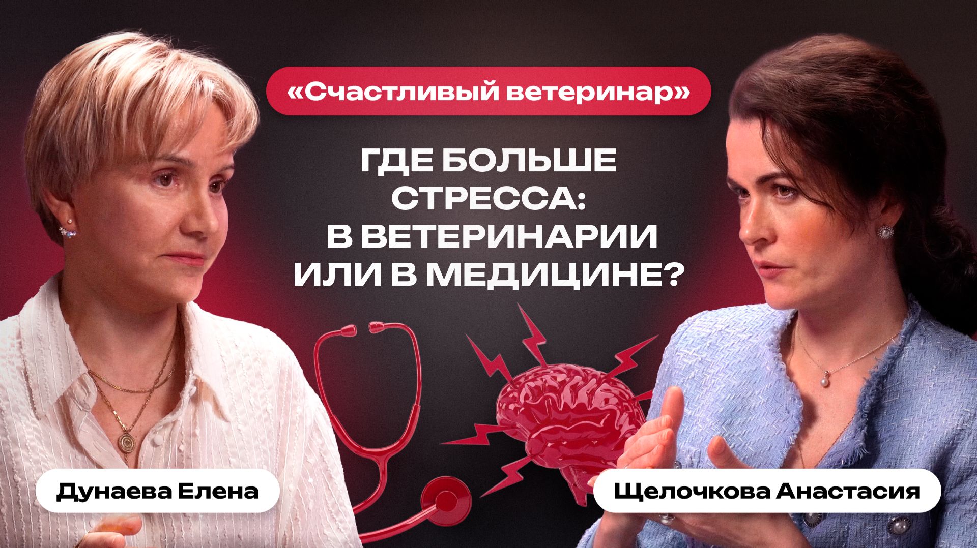 Где больше стресса: в ветеринарии или в медицине? | Счастливый ветеринар смотреть онлайн