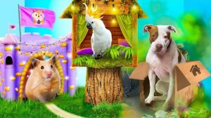 Строим секретные домики для животных! Бедный, богатый и гигабогатый