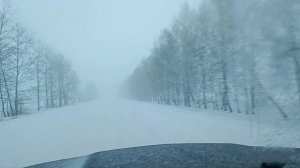 Снегопад в Курской области 16.02.2026
