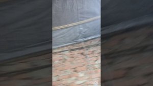 гараж не для скуки