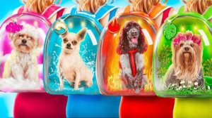 Мы приютили животных – огонь, вода, воздух и земля! Строим секретные домики для животных – часть 2!