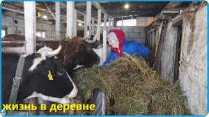 ПОГОДА МЕНЯЕТСЯ НА ГЛАЗАХ НО НАС ЭТО НЕ ОСТАНАВЛИВАЕТ, ЖИЗНЬ В ДЕРЕВНЕ