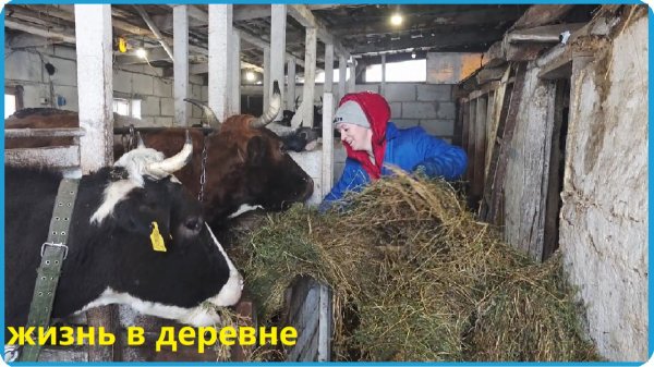 ПОГОДА МЕНЯЕТСЯ НА ГЛАЗАХ НО НАС ЭТО НЕ ОСТАНАВЛИВАЕТ, ЖИЗНЬ В ДЕРЕВНЕ