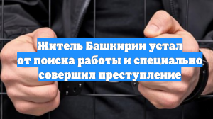 Житель Башкирии устал от поиска работы и специально совершил преступление