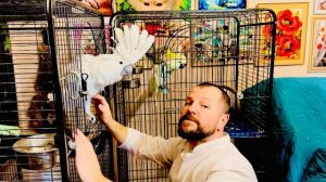 УДИВИТЕЛЬНО! Как Жорик и Кира радуются приходу доктора Василия)))