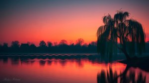 КРАСИВАЯ УСПОКАИВАЮЩАЯ МУЗЫКА ДЛЯ СНА НА ЗАРЕ 🎵 НЕЖНАЯ РАССЛАБЛЯЮЩАЯ МУЗЫКА ДЛЯ ДУШИ У ОЗЕРА