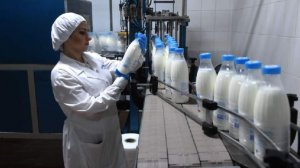 В России зафиксировали переизбыток молока