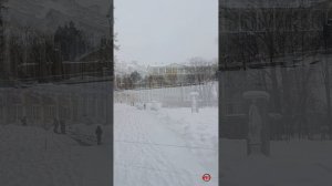 Пушкин Зимний Екатерининский парк