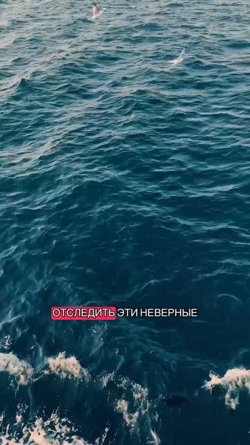 11 ШАГ. УТРЕННИЙ НАСТРОЙ