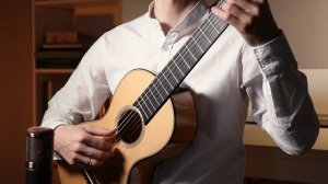 М. Каркасси - Андантино | M. Carcassi - Andantino