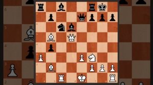 Наш Алехин красиво выигрывает у Эйве за 20 ходов
