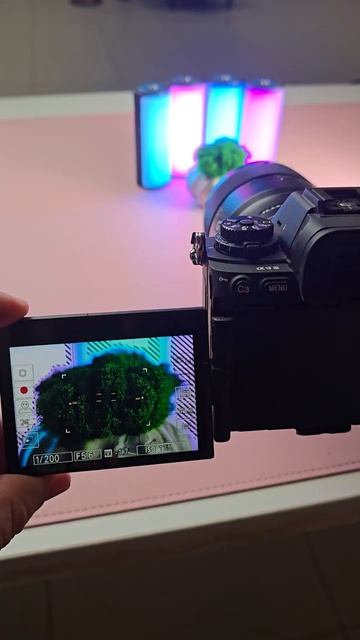 Макро на АЙФОНЕ против КАМЕРЫ: 17 Pro Max vs Sony a9 III 🤯 смотреть онлайн