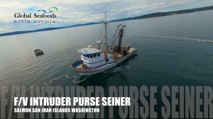 🐟 КОШЕЛЬКОВЫЙ НЕВОД – СЕЙНЕР INTRUDER | ПРОМЫСЕЛ ГОРБУШИ, САН-ХУАН, ВАШИНГТОН