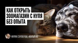Как открыть зоомагазин с нуля без опыта – интервью с франшизой «Мокрый нос» от Businessmens