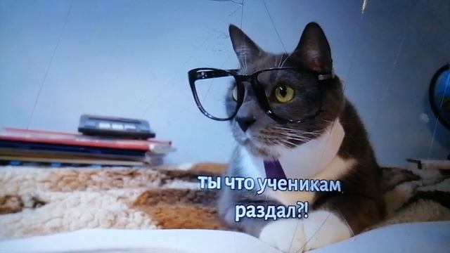 VID_20260215_192221.mp4 смотреть онлайн