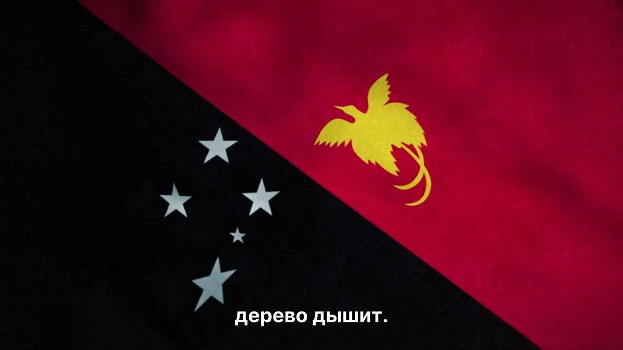 Папуа — Тайны тропических островов Индонезии | Природа и факты»