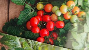 Сею горшечные томаты 🍅 красную, жёлтую и оранжевую шапочку💃 Сезон 2026