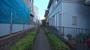 ТОКИО НАКАМЭГУРО 2026 Прогулка от заката до ночных огней зимнего города