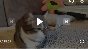 Об этом стоит задуматься.Чуть бегом  не убежала от зубного врача.