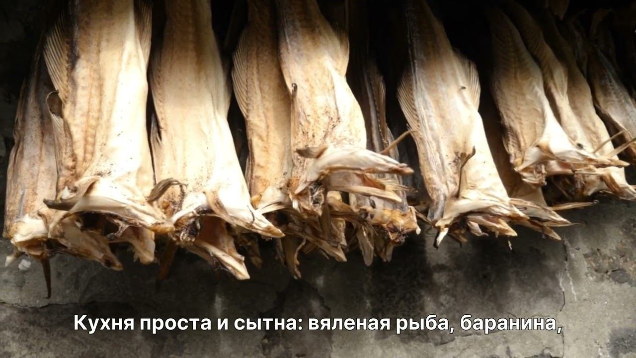 Остров Эстурой — Уединённый уголок Португалии | Природа и факты