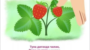 ӘМИНӘ - Жилэк-жимешлэр