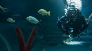 Северная станция - 2026 (02)