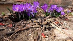 Тает снег...