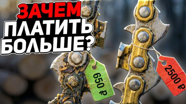 Китайские цепи ЛУЧШЕ Oregon и Stihl? Реальный тест, который ВАС УДИВИТ!