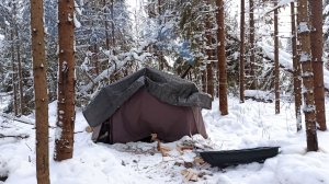 Как мы в лес за спокойствием ходили! 1 часть 2022 год