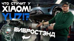Xiaomi YU7 на подъемнике. Что не так? Загоняем на вибростенд и разбираемся с «хлюпаньем» подвески