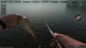 Professional Fishing 2 #42 чайное прохождение