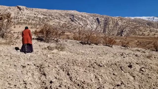 202ч.Чудо в горах: покупка тележки для Марьям и ее семьи с помощью зрителей смотреть онлайн