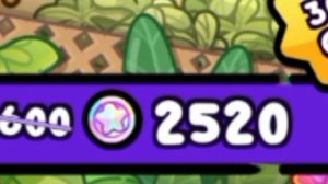 идём в самый дорогой магазин России идея Diana family home