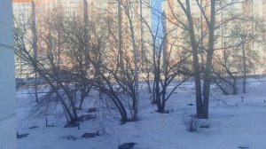 #11. сдаем платы