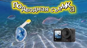 Подводная съемка на камеру DJI Osmo Action 4