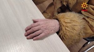 Чуть не отправила миллион: неравнодушные люди уберегли 87-летнюю чебоксарку от мошенников