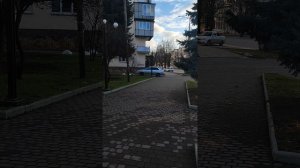 Моя банда кампусят