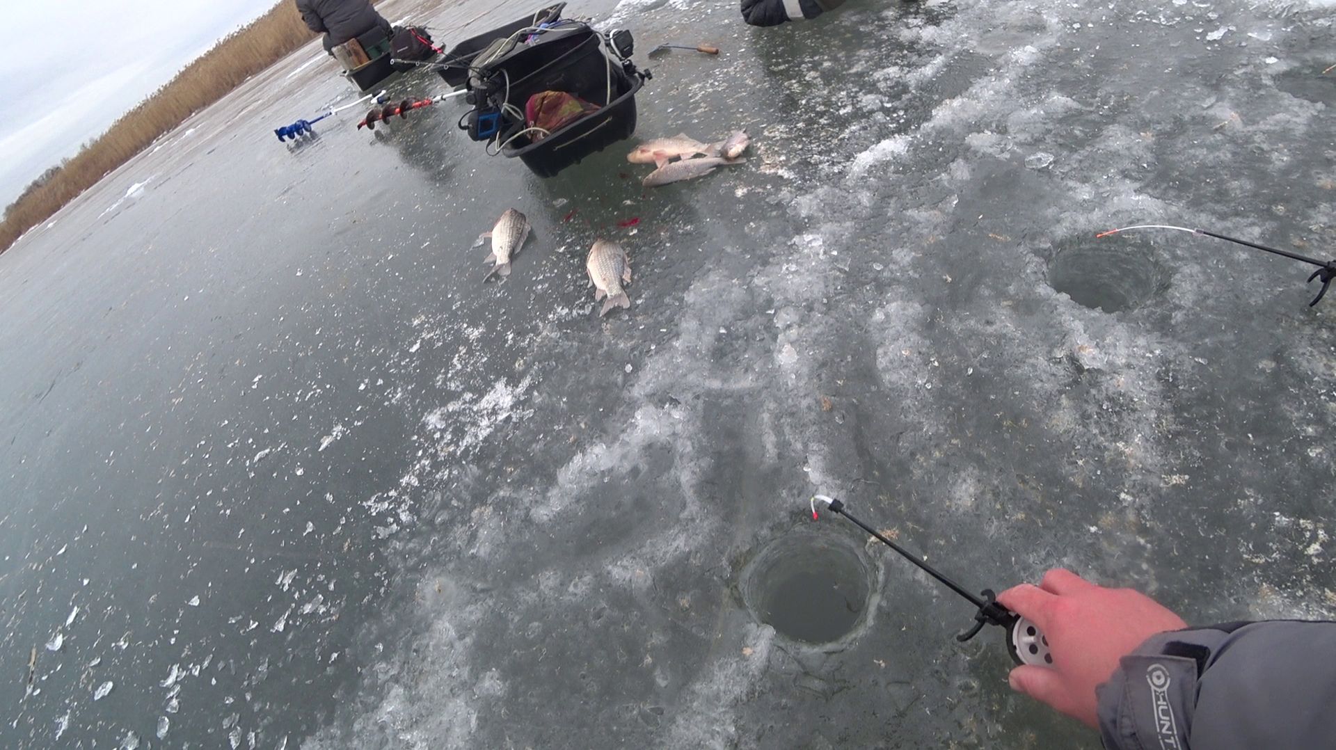 караси со льда и бонус на мормышку во рыбина #рыбалка #зимой #карась #щука #зимой #мормышка караси со льда и бонус на мормышку во рыбина #рыбалка #зимой #карась #щука #зимой #мормышка