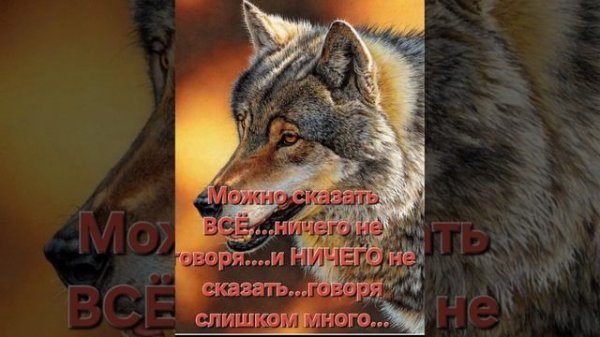 Garik Garik - А ты не ной, не скули, не вой 💯☝️