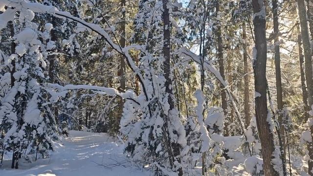 Долина реки Охты