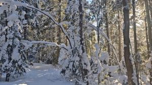 Долина реки Охты